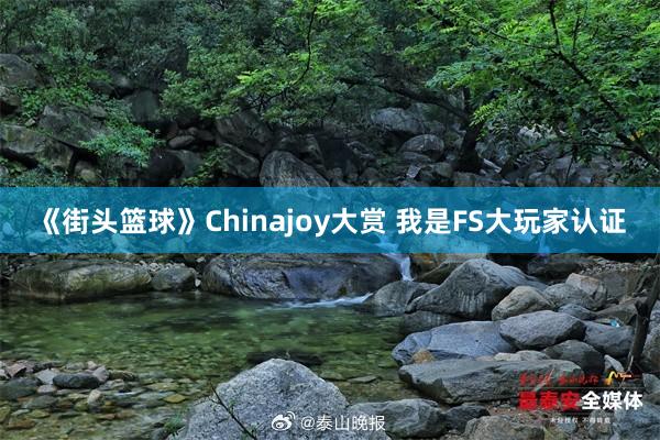 《街头篮球》Chinajoy大赏 我是FS大玩家认证
