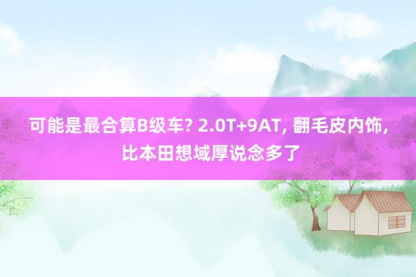 可能是最合算B级车? 2.0T+9AT, 翻毛皮内饰, 比本田想域厚说念多了