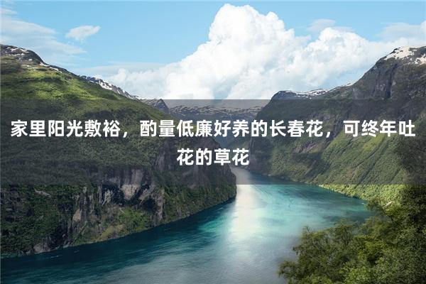 家里阳光敷裕，酌量低廉好养的长春花，可终年吐花的草花