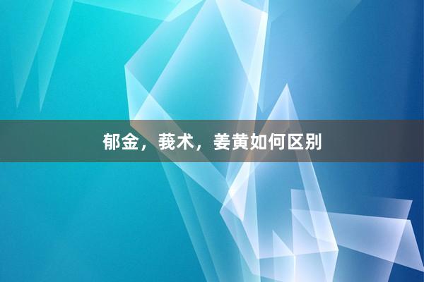 郁金，莪术，姜黄如何区别