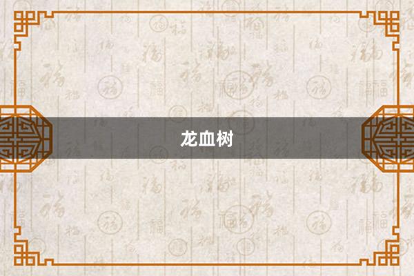 龙血树