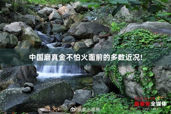 中国磨真金不怕火面前的多数近况!