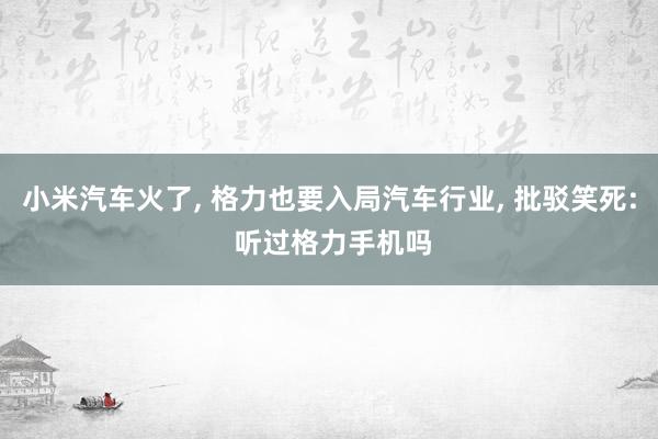小米汽车火了, 格力也要入局汽车行业, 批驳笑死: 听过格力手机吗
