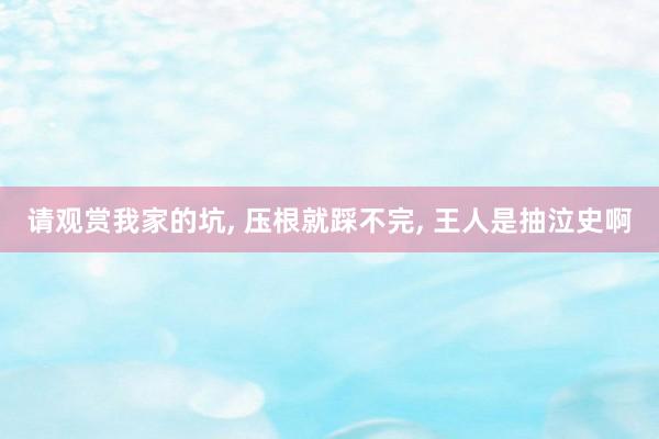 请观赏我家的坑, 压根就踩不完, 王人是抽泣史啊
